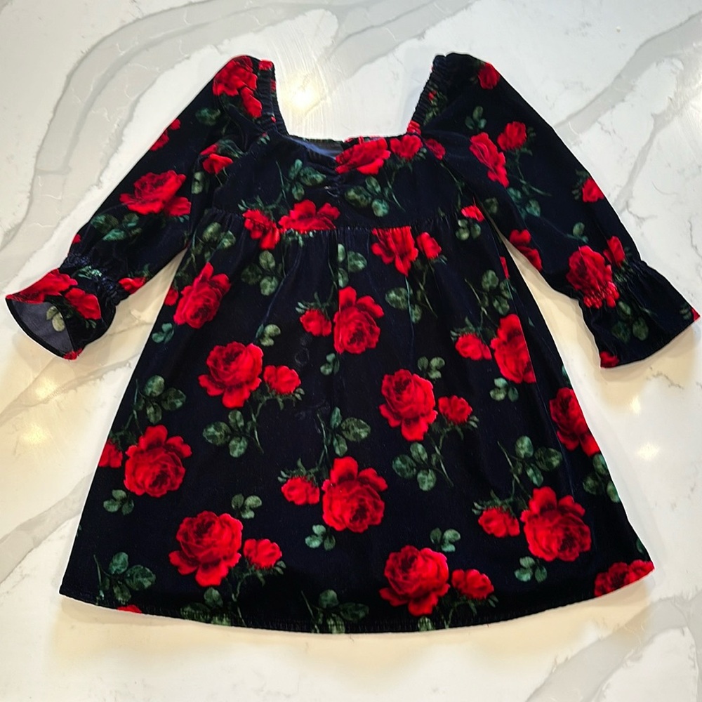 Janie & Jack Black Velvet Dress with Red Roses. 🌹